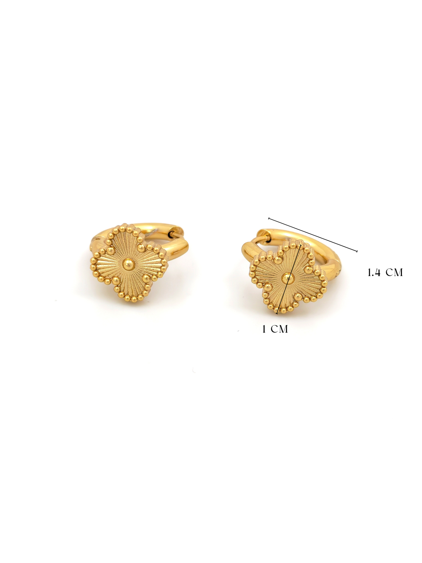 GOLDEN VANC HOOP EARRING