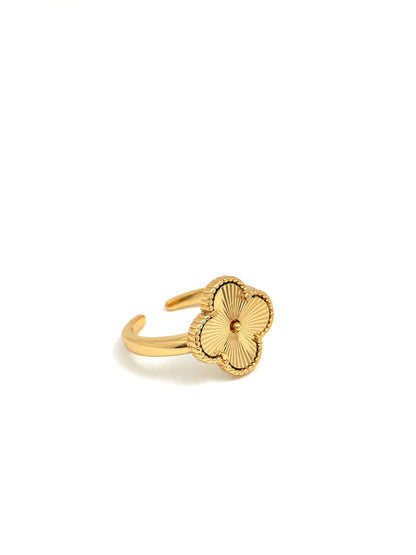 GOLDEN VANC FREE SIZE SET